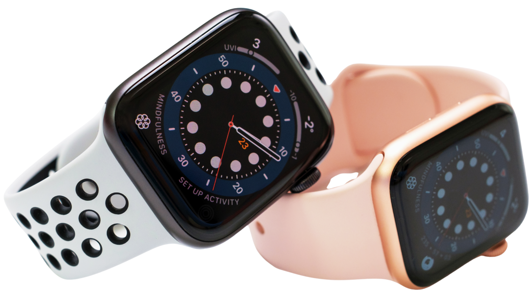 Fresh organic vegetables and fruits in a basket